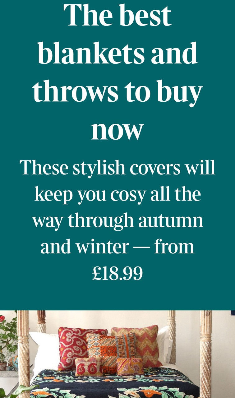 The Times Online November 2024