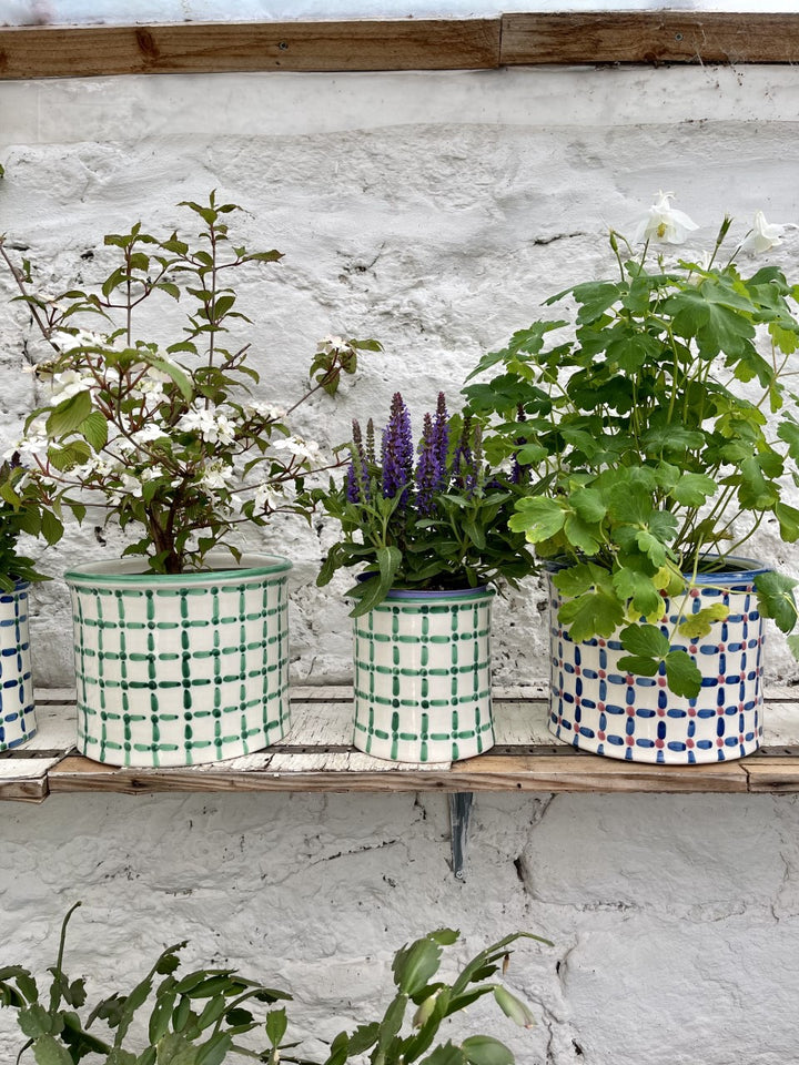 MEDIUM FLOWER POT - DASH DOT JUST GREEN