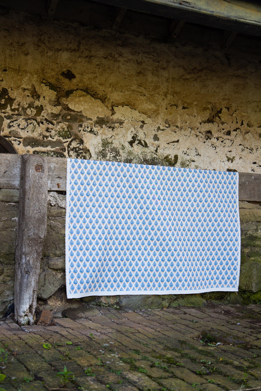 PARDIS COLLECTION - TULIPS CORNISH BLUE