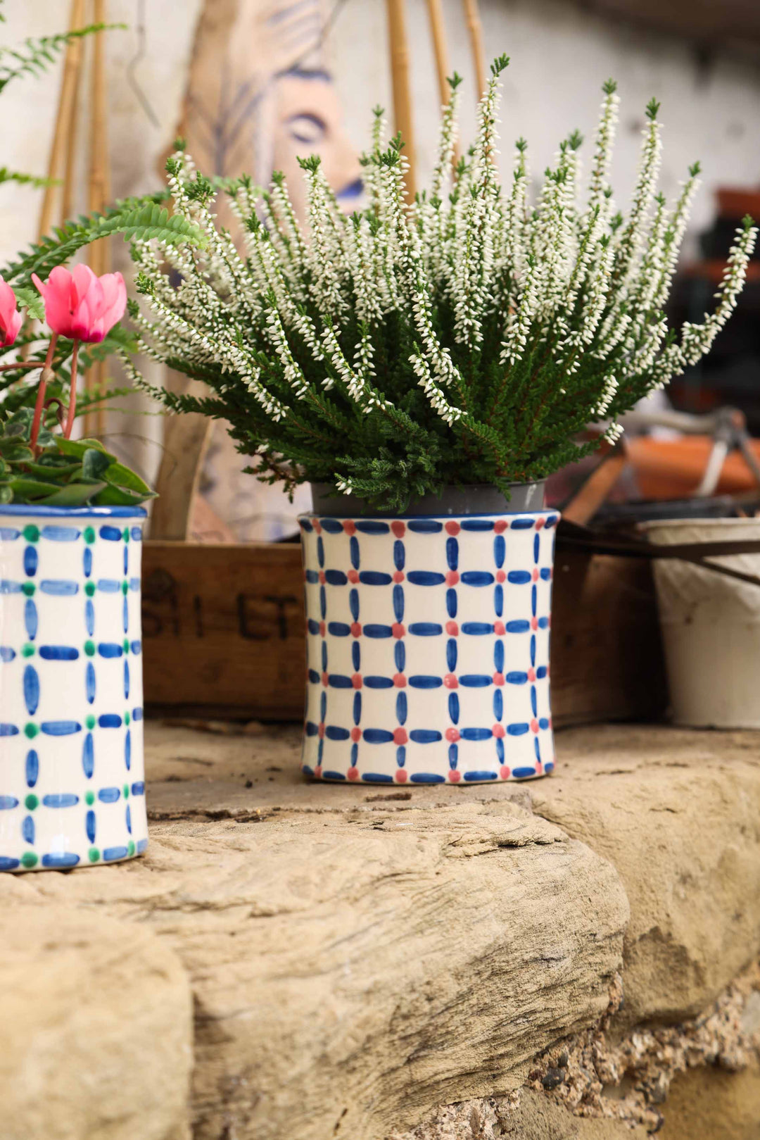 SMALL FLOWER POT - DASH DOT BLUE PINK