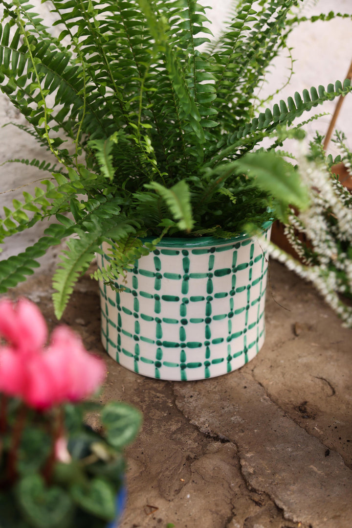 MEDIUM FLOWER POT - DASH DOT JUST GREEN