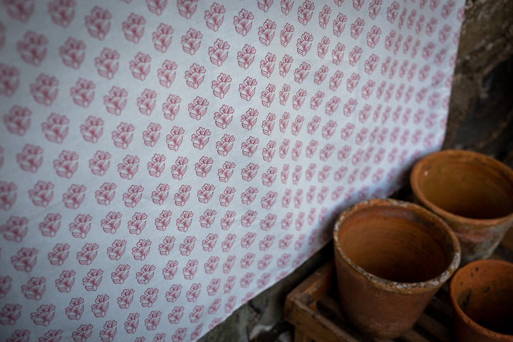 PARDIS COLLECTION - JAIPUR PINK